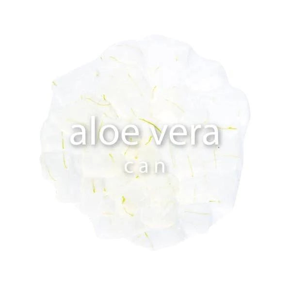 Aloe Vera (565g) - Hank's Tea Bubble Tea Wholesale